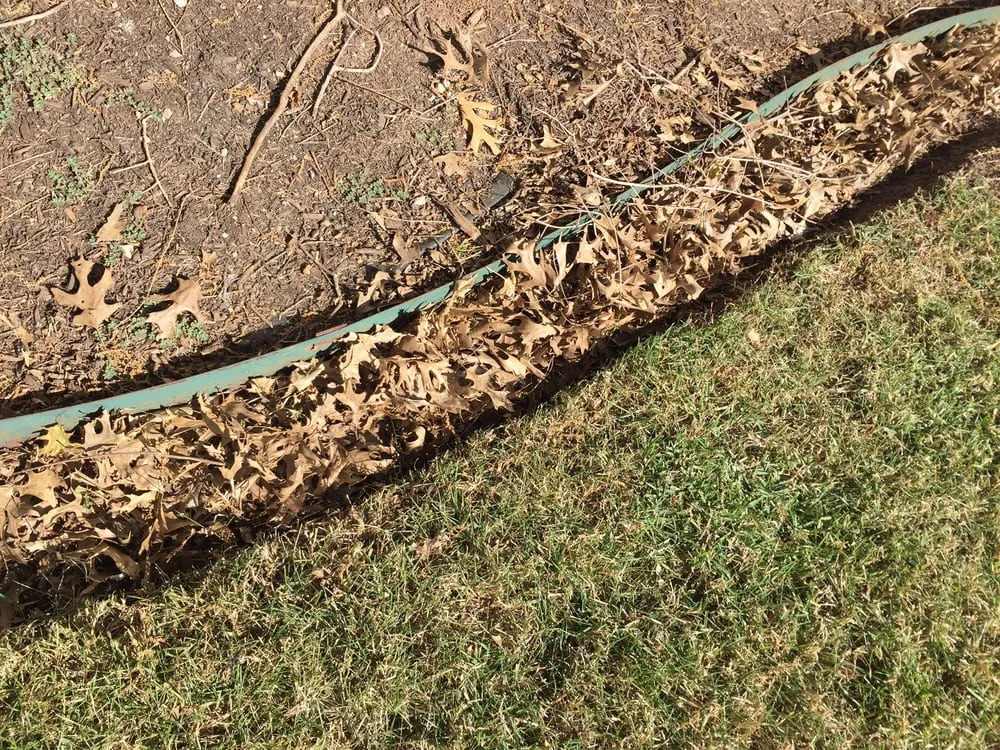 Top-rated outdoor landscaping experts serving Austin, TX - Catheys Lawn Care