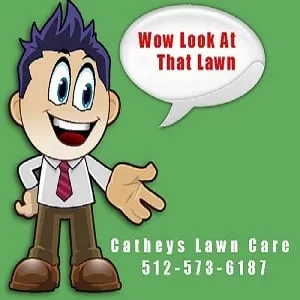 Local landscape design experts serving Austin, TX - Catheys Lawn Care