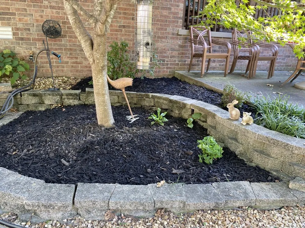 Professional landscaping services in Gassville, AR by Cathys Homecare & Maintenance