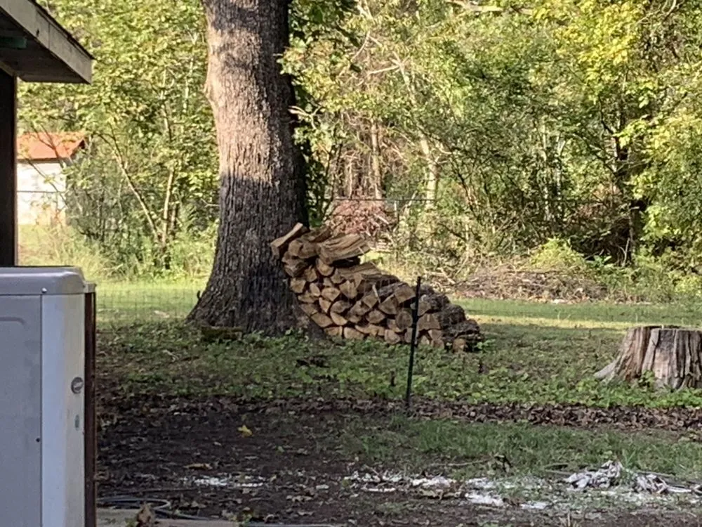 Top-rated lawn care service in Gassville, AR - Cathys Homecare & Maintenance