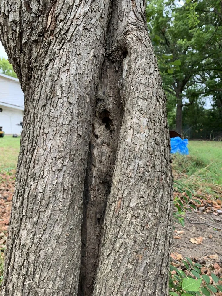 Custom landscape design in Gassville, AR - Cathys Homecare & Maintenance