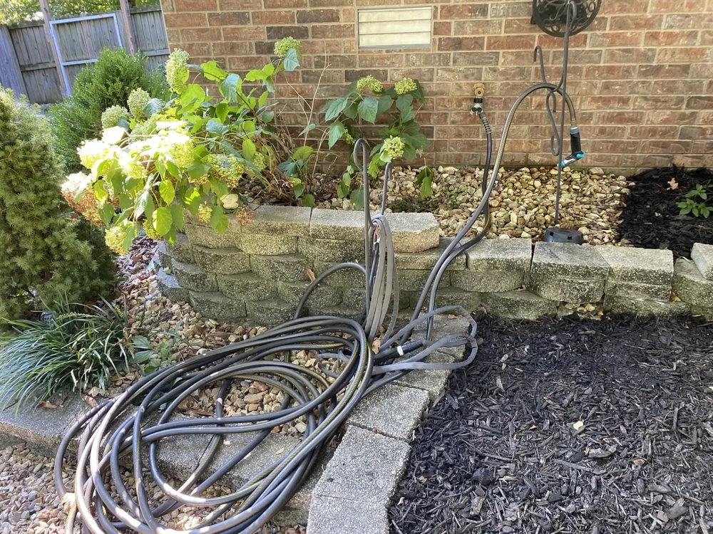 Local yard cleanup service in Gassville, AR - Cathys Homecare & Maintenance