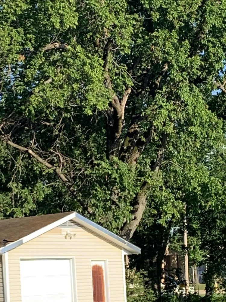 Trusted landscaping services in Gassville, AR - Cathys Homecare & Maintenance