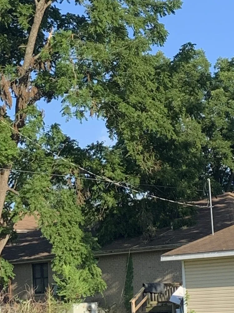 Affordable landscape design in Gassville, AR by Cathys Homecare & Maintenance