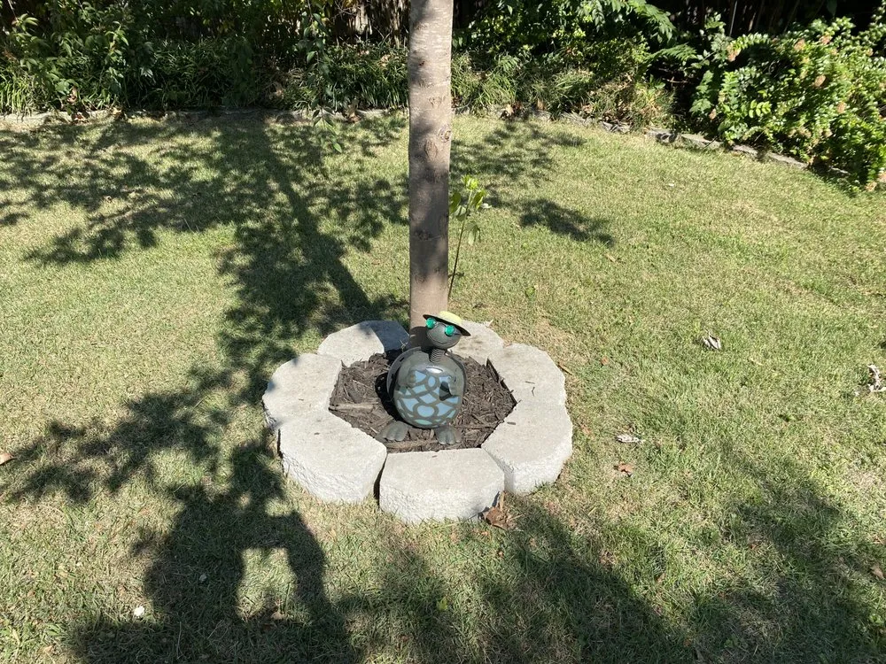 Trusted landscape design in Gassville, AR - Cathys Homecare & Maintenance