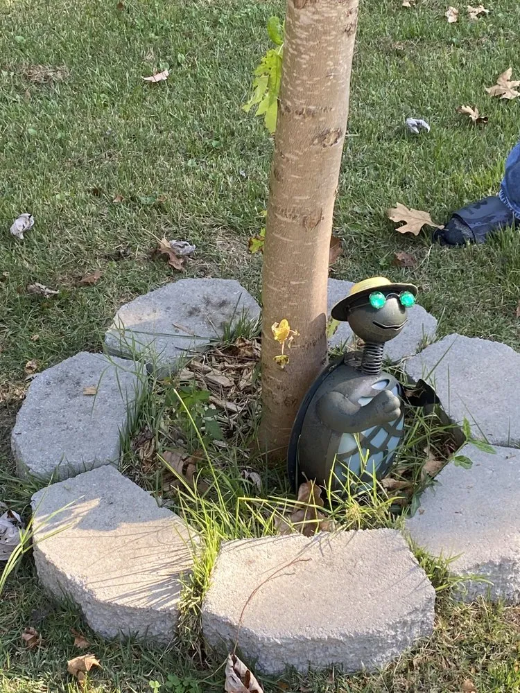 Top-rated lawn care service for homes in Gassville, AR by Cathys Homecare & Maintenance