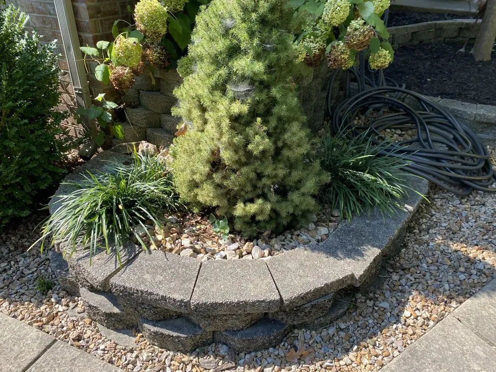 Trusted lawn care service for year-round maintenance across Gassville, AR - Cathys Homecare & Maintenance