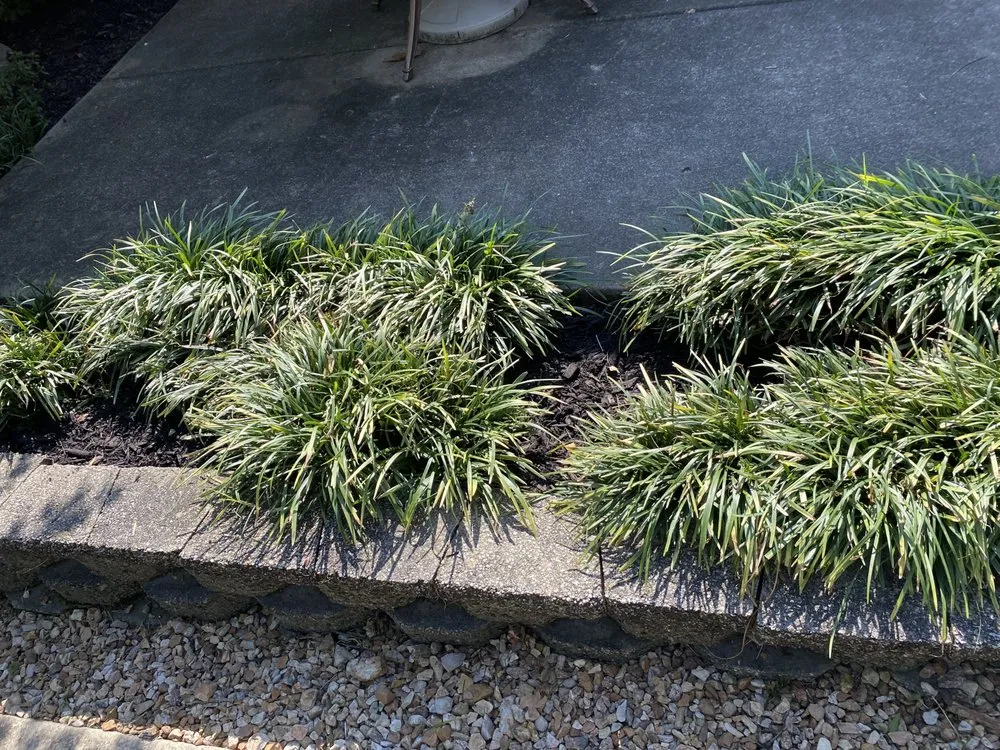 Trusted lawn care service for outdoor upgrades across Gassville, AR - Cathys Homecare & Maintenance