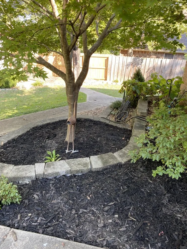 Local lawn mowing service experts serving Gassville, AR - Cathys Homecare & Maintenance