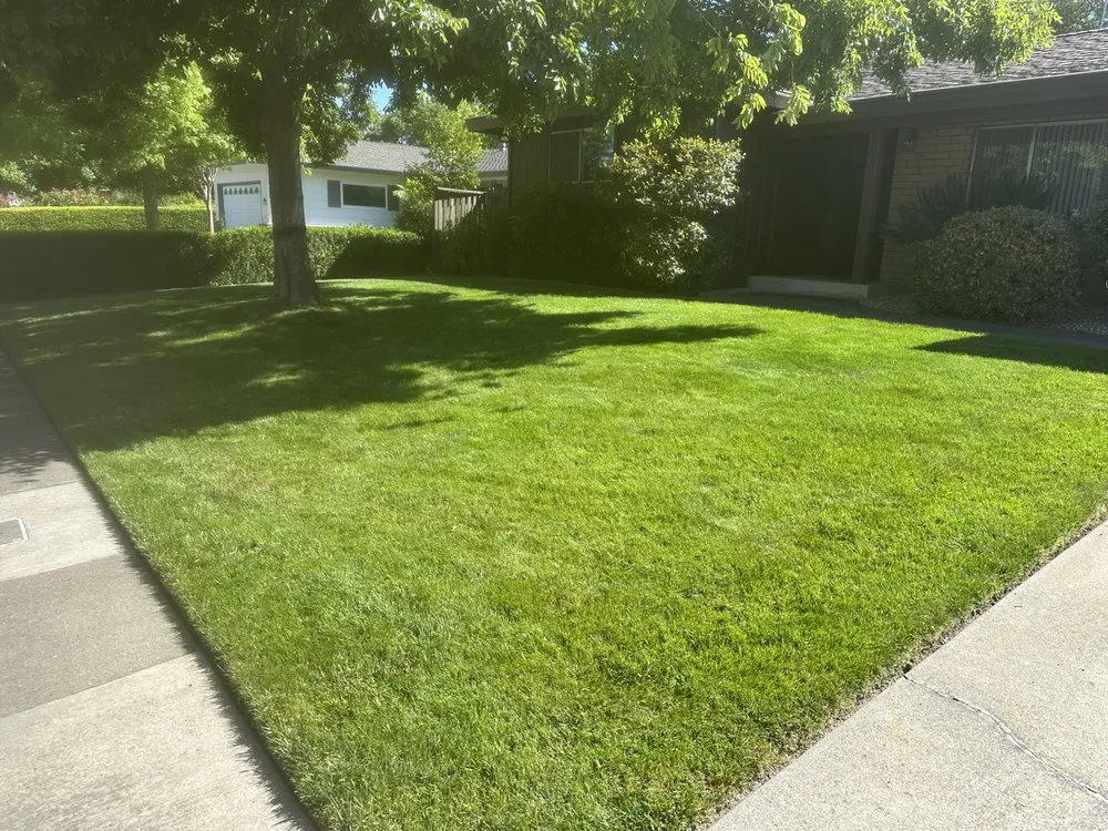 Local outdoor landscaping for year-round maintenance across Sacramento, CA - Catillos Lawn Service
