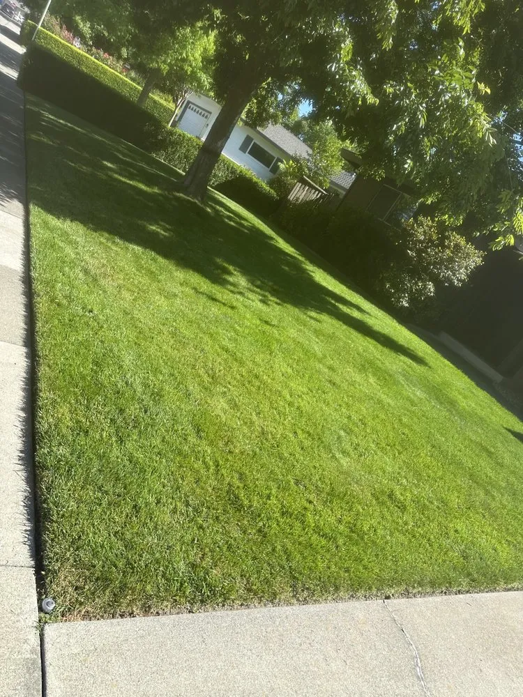 Affordable yard maintenance with custom design across Sacramento, CA - Catillos Lawn Service
