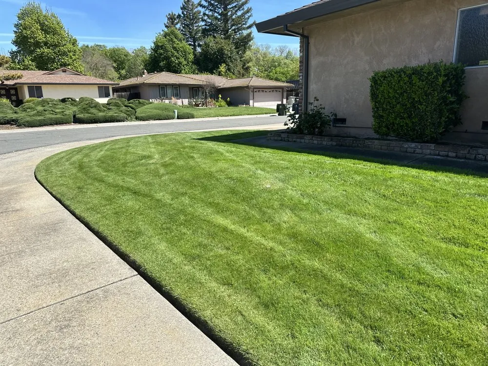 Expert landscaping services for beautiful yards in Sacramento, CA by Catillos Lawn Service