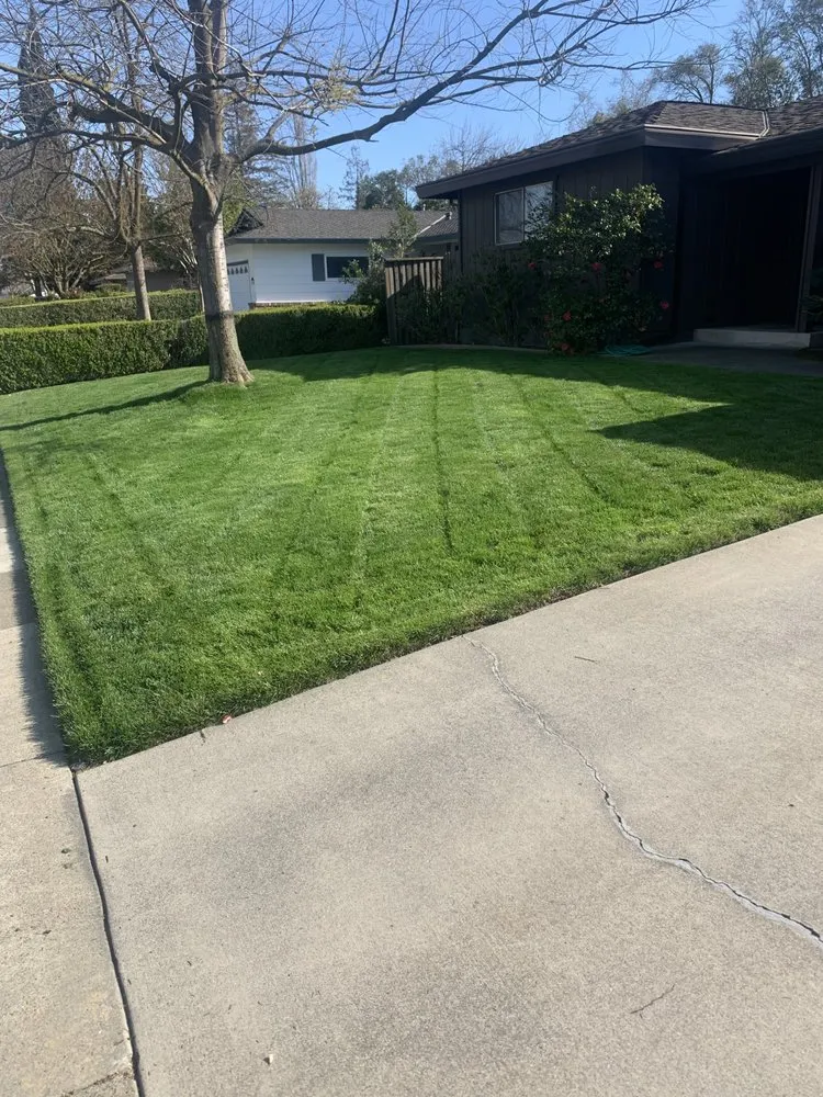 Professional landscaping services in Sacramento, CA - Catillos Lawn Service