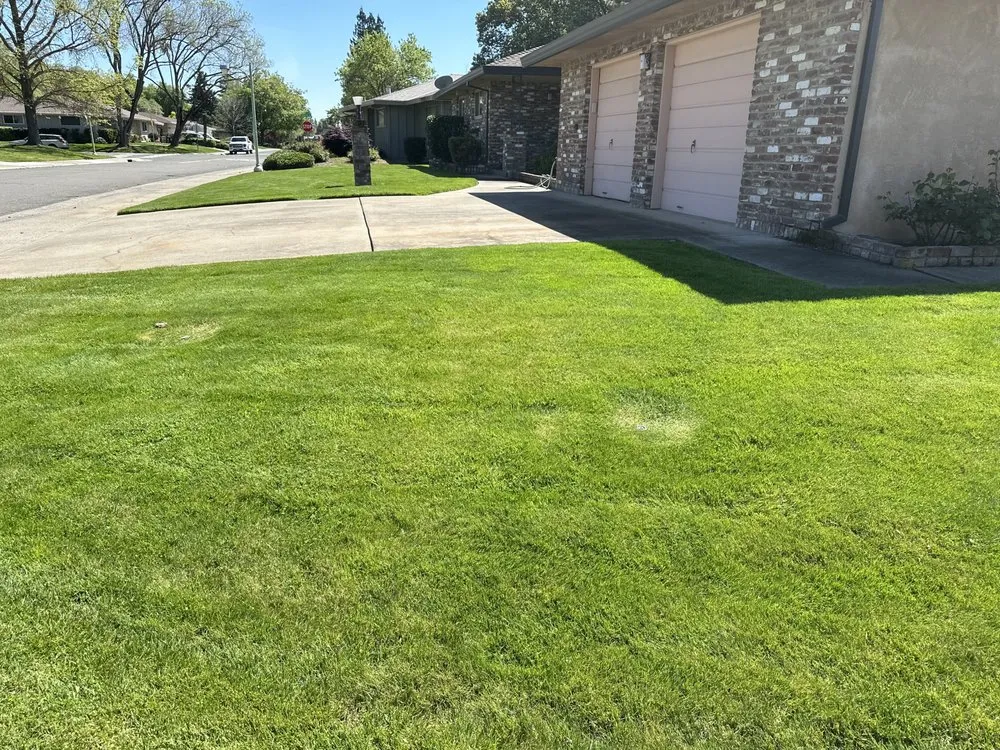 Professional landscape installation in Sacramento, CA - Catillos Lawn Service