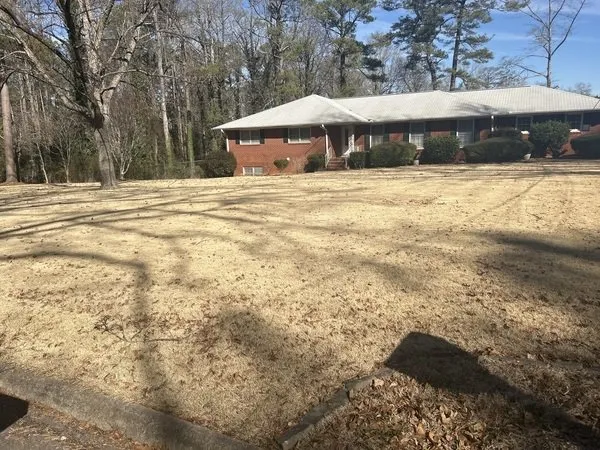 Professional yard cleanup service experts serving Griffin, GA - Cato Turf Solutions