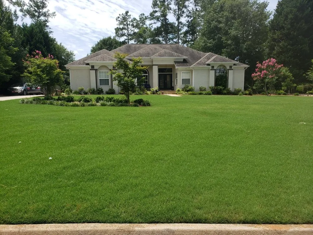 Affordable landscaping services experts serving Griffin, GA - Cato Turf Solutions
