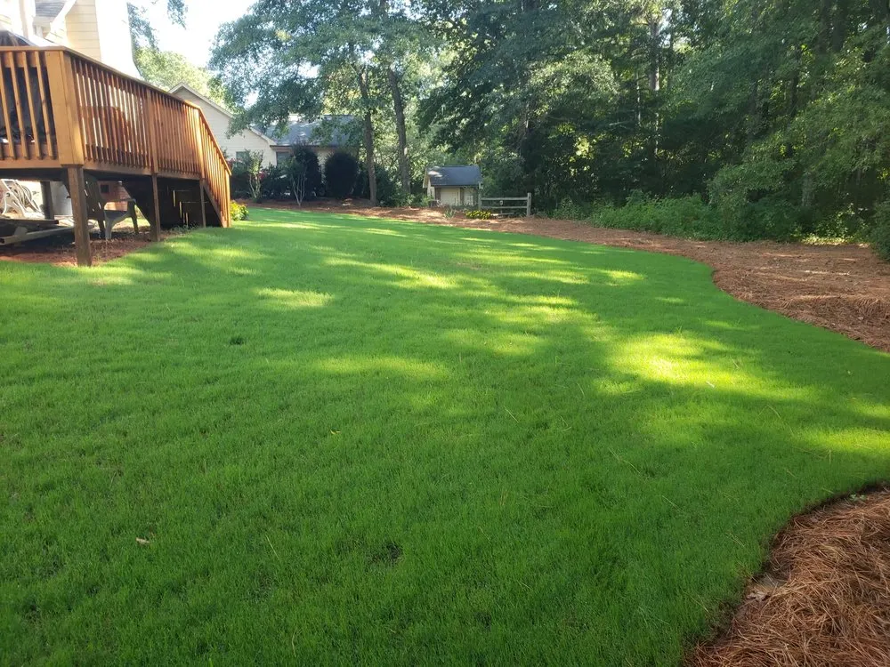 Top-rated residential landscaping for beautiful yards across Griffin, GA - Cato Turf Solutions