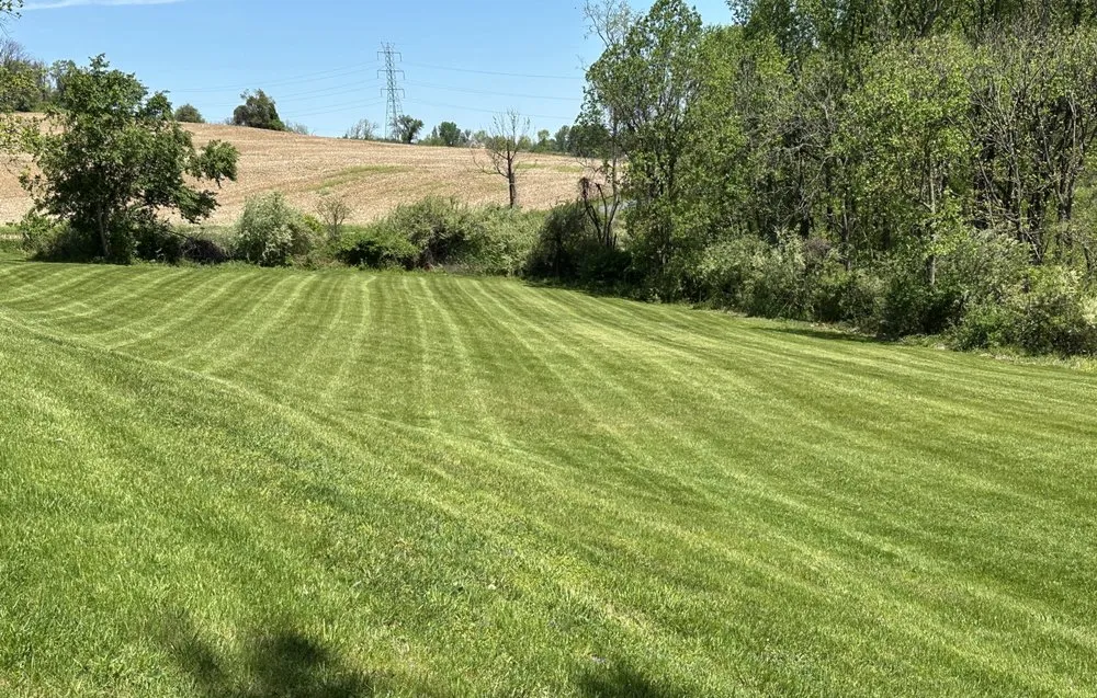 Affordable lawn mowing service for outdoor upgrades across Myersville, MD - Catoctin Creek