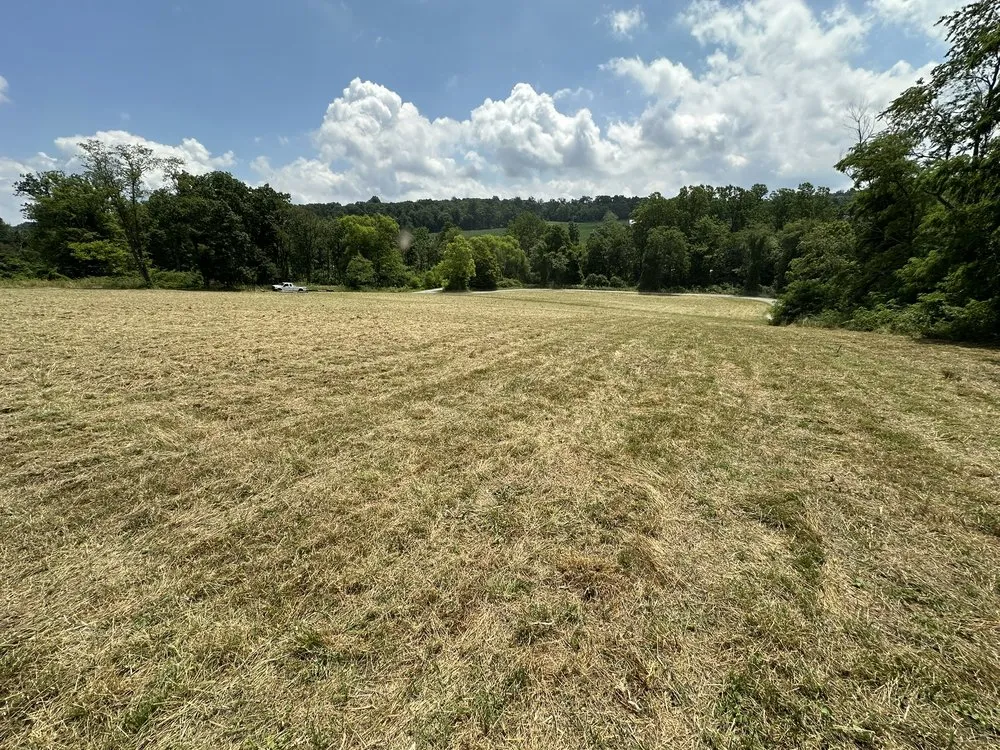 Expert yard cleanup service for residential properties in Myersville, MD by Catoctin Creek