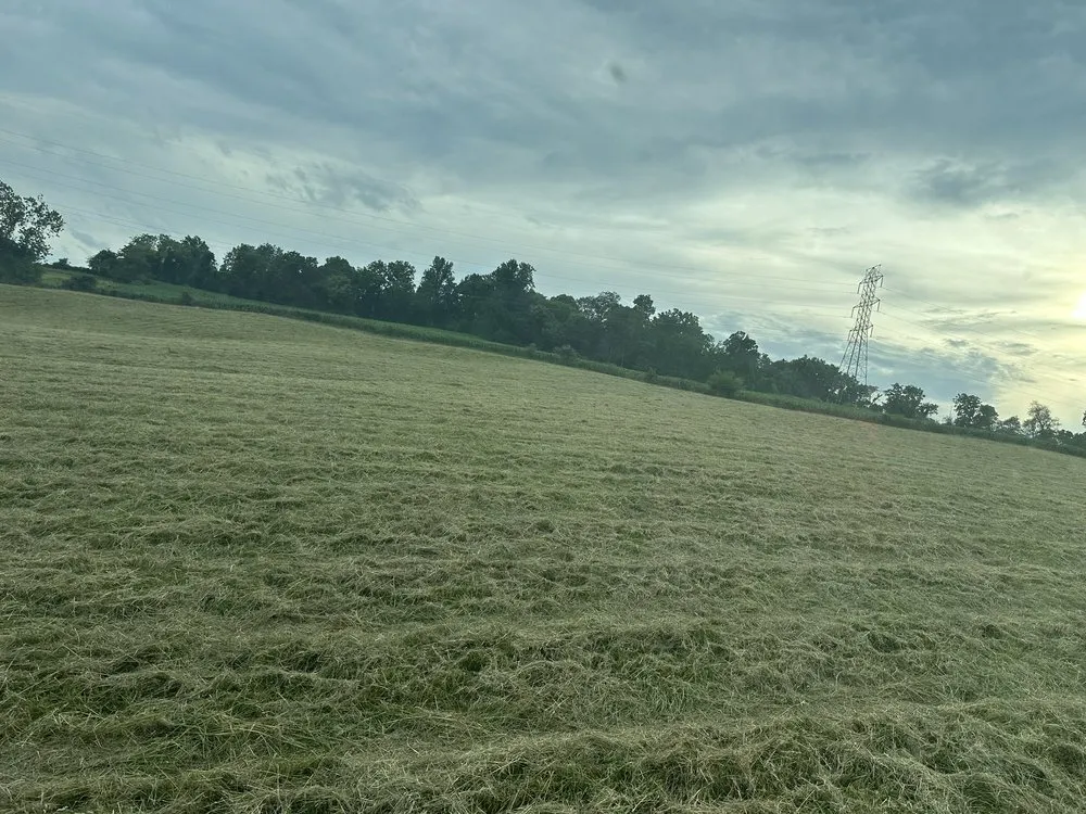 Professional garden landscaping experts serving Myersville, MD - Catoctin Creek