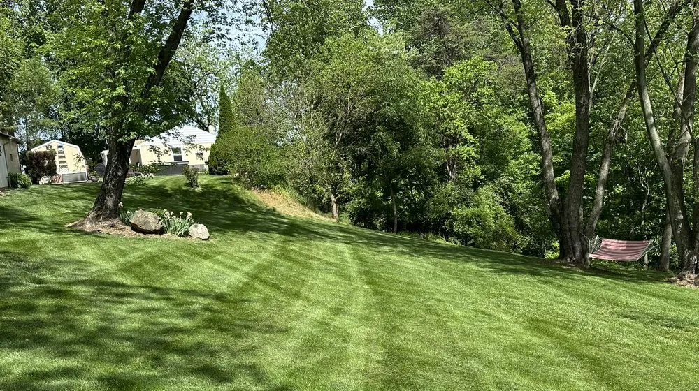 Top-rated yard cleanup service in Myersville, MD - Catoctin Creek