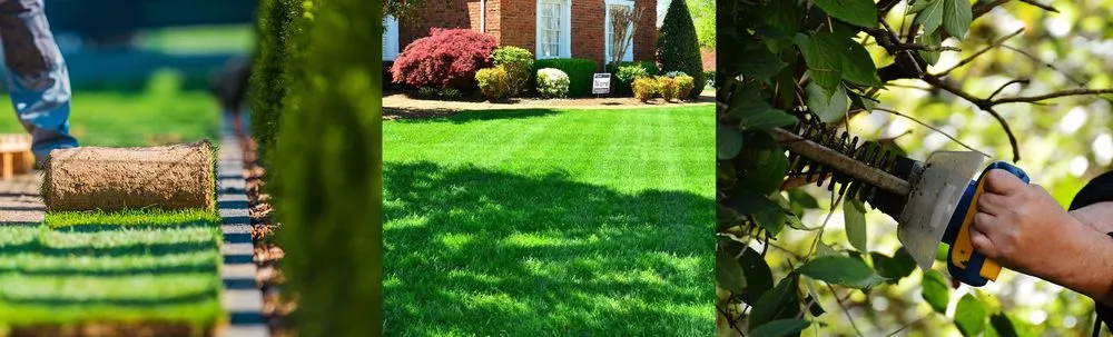 Trusted yard maintenance in Midland, TX by Cato's Tree & Lawn Care Services
