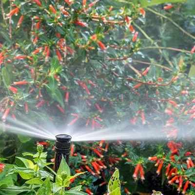 Reliable garden landscaping for year-round maintenance in Midland, TX by Cato's Tree & Lawn Care Services