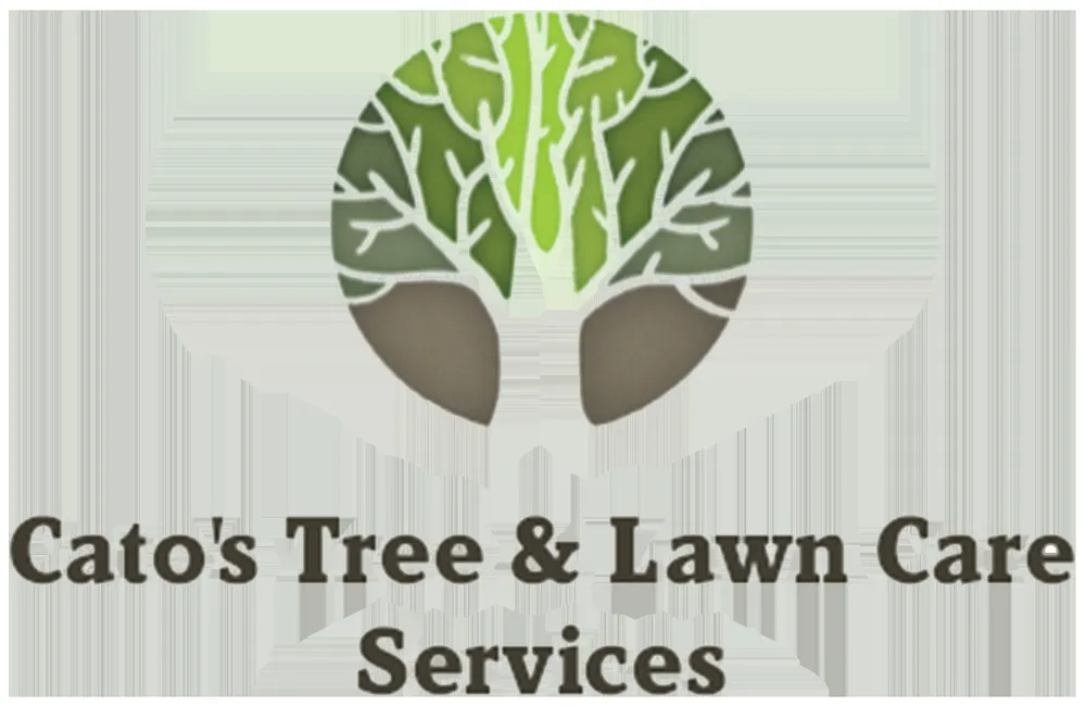 Expert yard cleanup service experts serving Midland, TX - Cato's Tree & Lawn Care Services