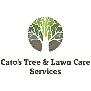 Custom outdoor landscaping in Midland, TX by Cato's Tree & Lawn Care Services