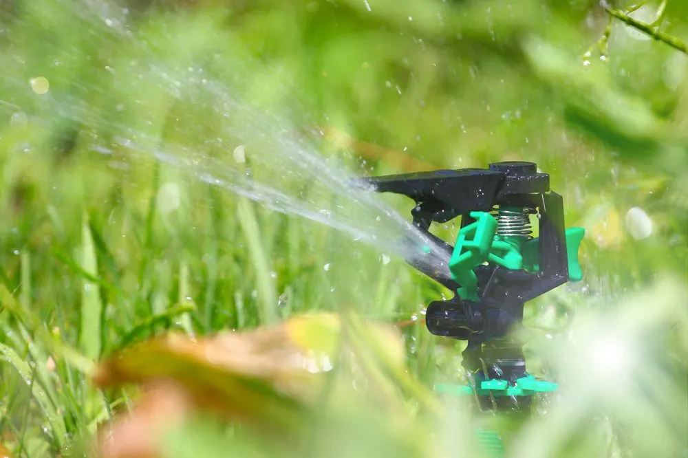 Custom lawn care service near you across Midland, TX - Cato's Tree & Lawn Care Services