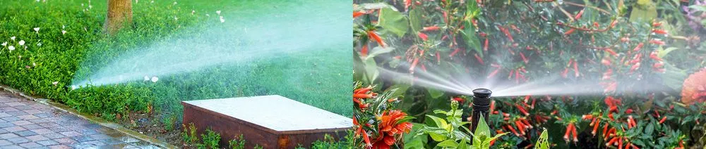 Reliable landscape design for residential properties across Midland, TX - Cato's Tree & Lawn Care Services