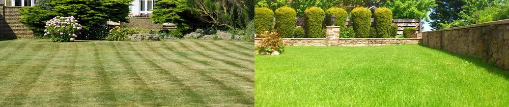 Custom garden landscaping for residential properties across Midland, TX - Cato's Tree & Lawn Care Services