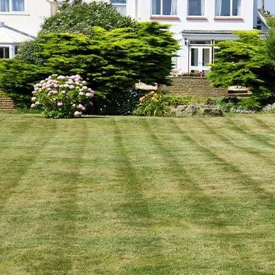 Reliable landscape installation with custom design in Midland, TX by Cato's Tree & Lawn Care Services