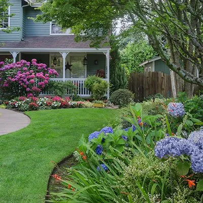 Professional landscaping services experts serving Midland, TX - Cato's Tree & Lawn Care Services