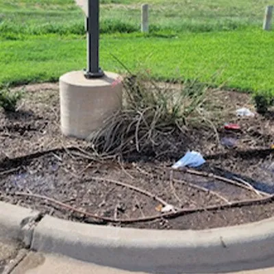 Local yard cleanup service experts serving Midland, TX - Cato's Tree & Lawn Care Services