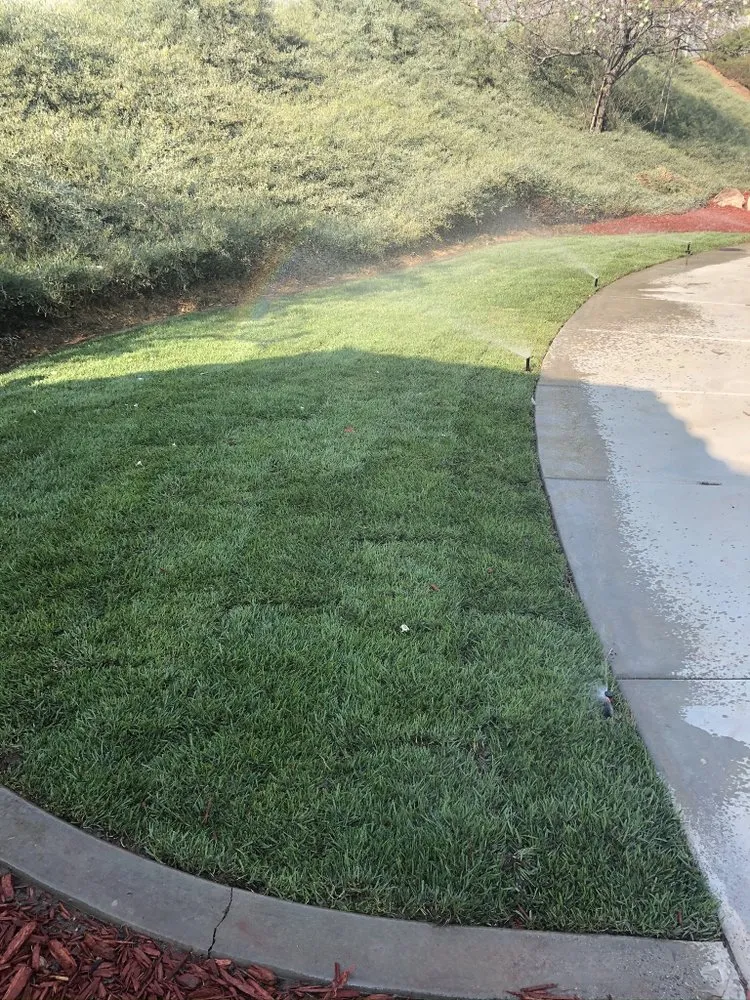 Custom outdoor landscaping near you in San Jacinto, CA by Catracho Landscaping