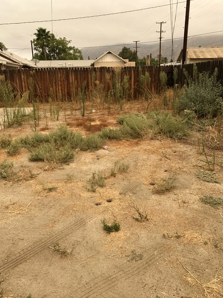 Custom yard maintenance in San Jacinto, CA by Catracho Landscaping