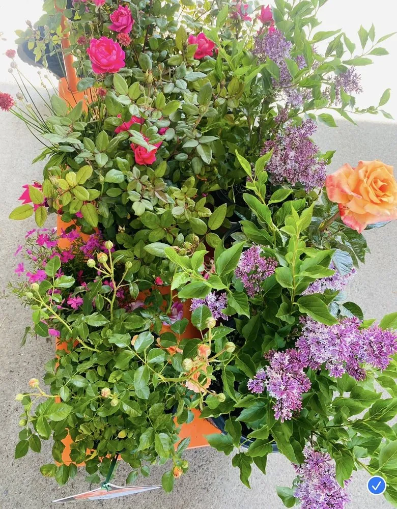 Custom garden landscaping near you across Kingston, NY - Catskill Mountain Gardening