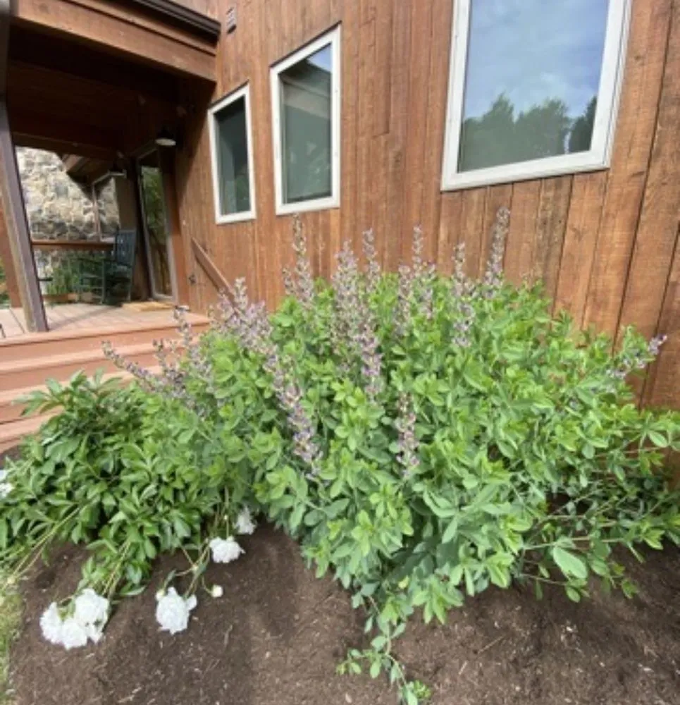 Custom yard cleanup service for outdoor upgrades across Kingston, NY - Catskill Mountain Gardening