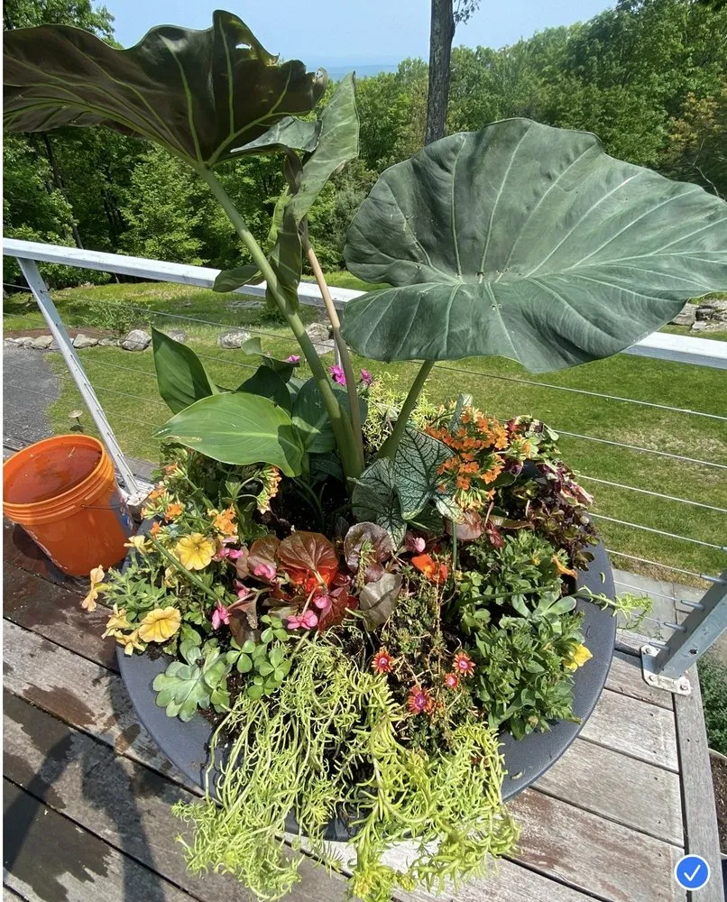 Affordable lawn mowing service in Kingston, NY - Catskill Mountain Gardening