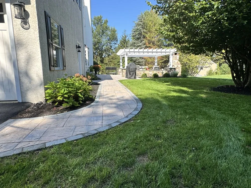 Expert yard cleanup service in Perkasie, PA - Cattail