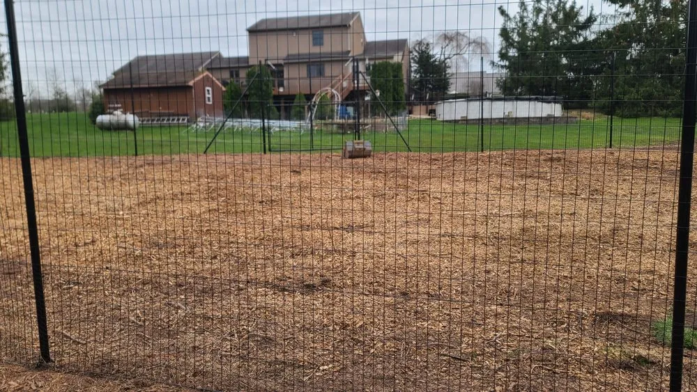 Top-rated garden landscaping for homes in Perkasie, PA by Cattail