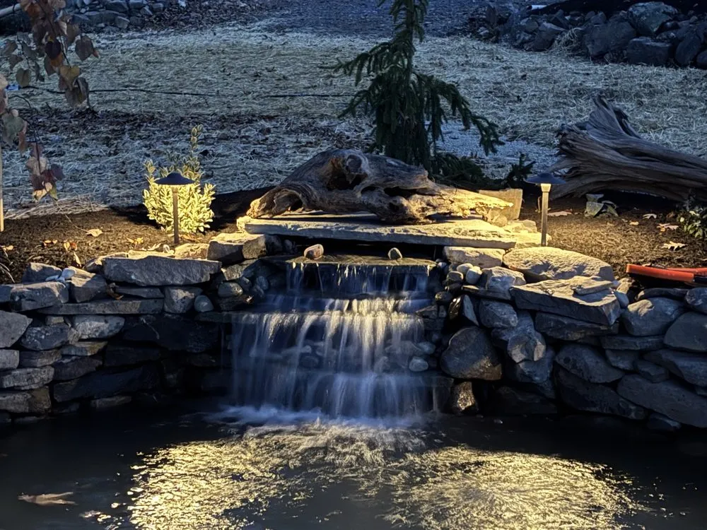 Professional lawn care service in Perkasie, PA - Cattail