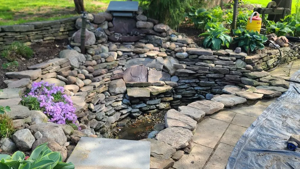 Affordable lawn care service in Perkasie, PA - Cattail