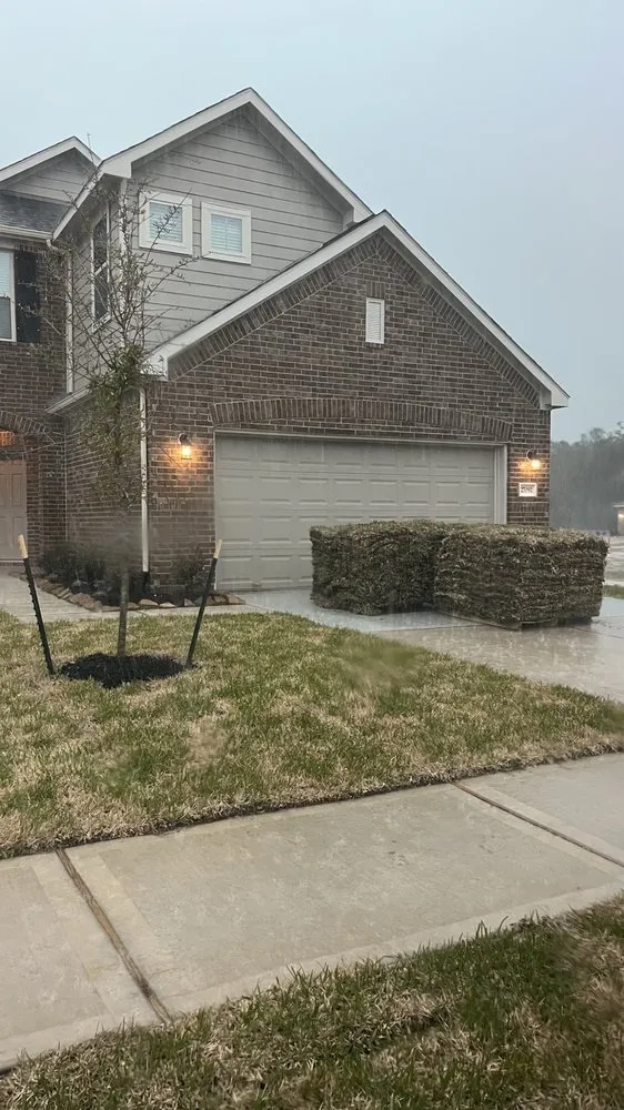 Top-rated lawn care service in Magnolia, TX - Cattaleya Nursery