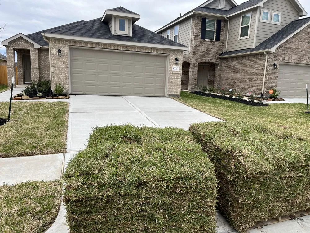 Professional landscaping services in Magnolia, TX by Cattaleya Nursery