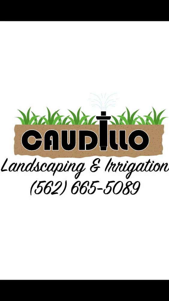 Top-rated yard cleanup service in La Habra, CA - Caudillo Lanscaping And Irrigation