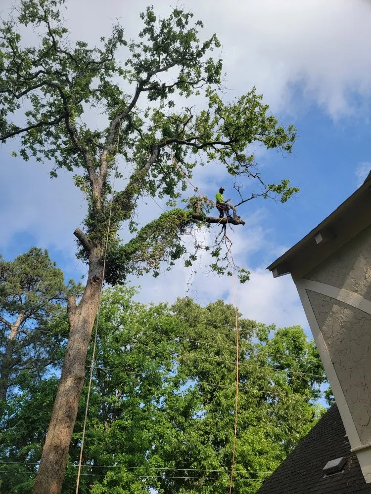 Local garden landscaping experts serving Cleveland, TX - Caudillo's Lawn Tree & More