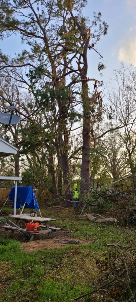 Expert lawn mowing service for year-round maintenance across Cleveland, TX - Caudillo's Lawn Tree & More