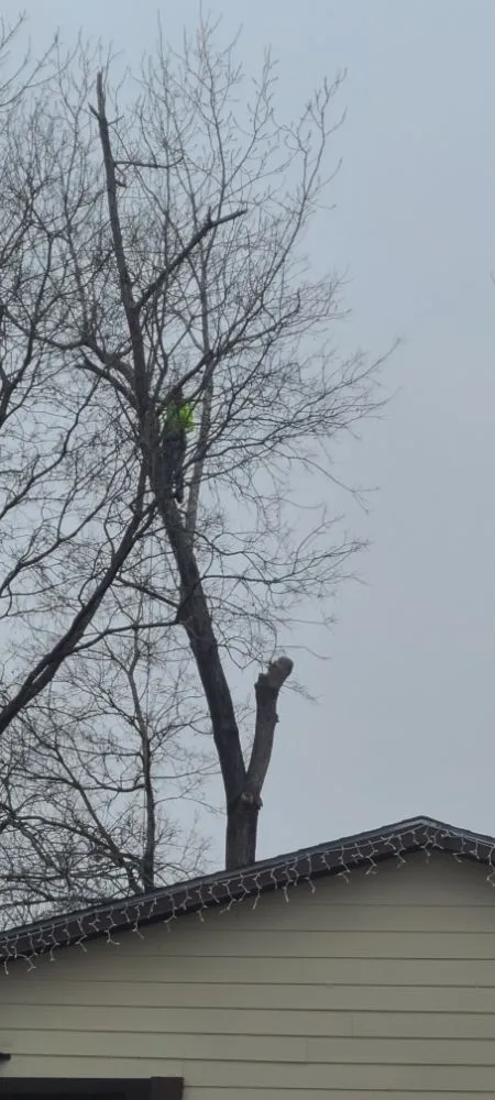 Professional residential landscaping in Cleveland, TX by Caudillo's Lawn Tree & More